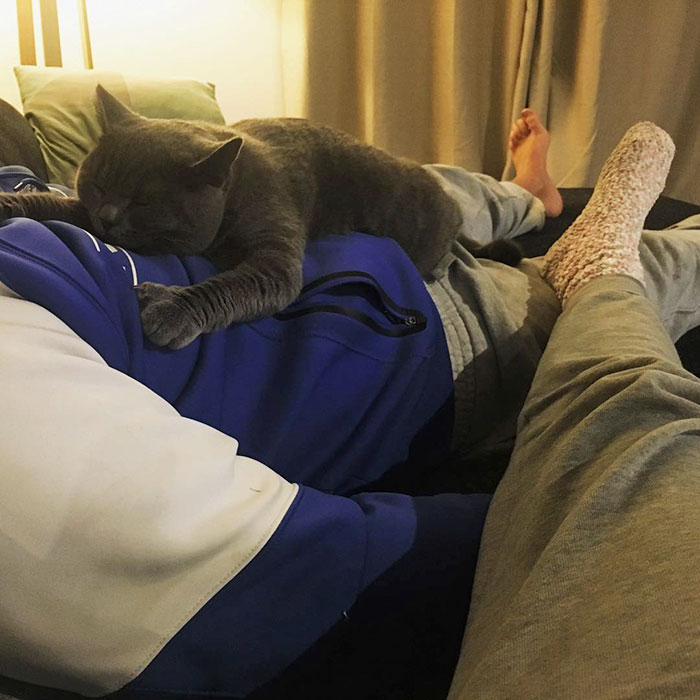 50 People Who Said They Didn’t Want The Damn Cats 50 People Who Said They Didn’t Want The Damn Cats