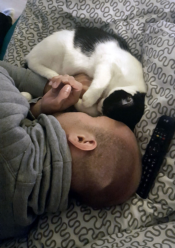 50 People Who Said They Didn’t Want The Damn Cats 50 People Who Said They Didn’t Want The Damn Cats