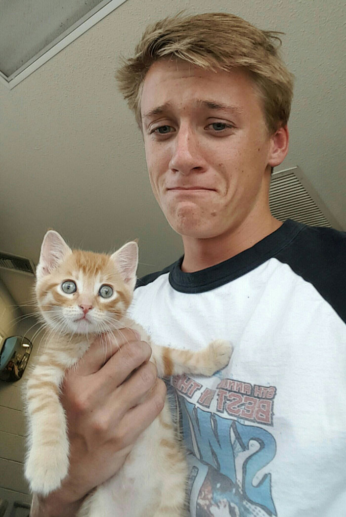 50 People Who Said They Didn’t Want The Damn Cats 50 People Who Said They Didn’t Want The Damn Cats