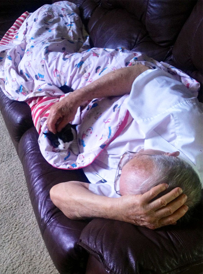 50 People Who Said They Didn’t Want The Damn Cats 50 People Who Said They Didn’t Want The Damn Cats