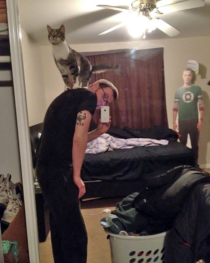 50 People Who Said They Didn’t Want The Damn Cats 50 People Who Said They Didn’t Want The Damn Cats