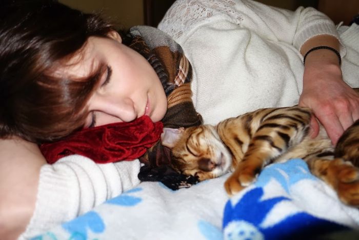 50 People Who Said They Didn’t Want The Damn Cats 50 People Who Said They Didn’t Want The Damn Cats