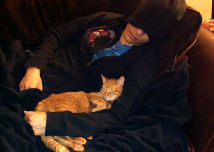 50 People Who Said They Didn’t Want The Damn Cats 50 People Who Said They Didn’t Want The Damn Cats