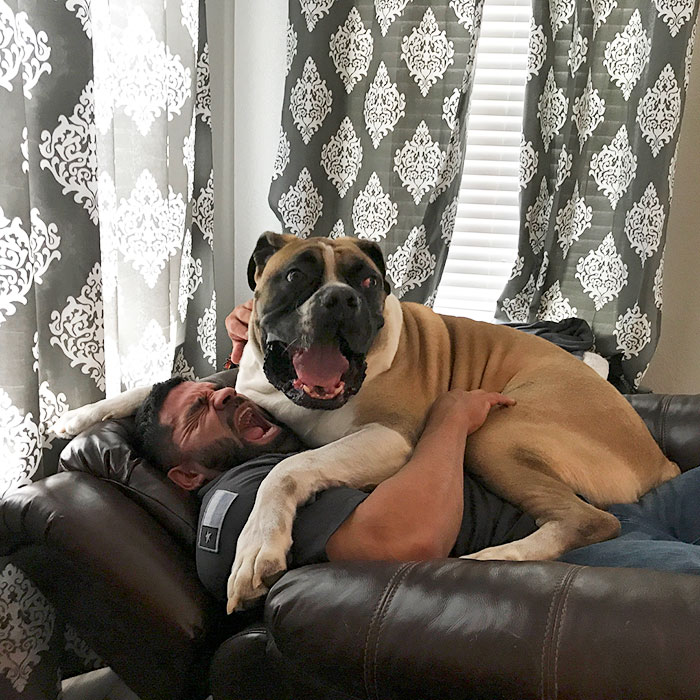 178 Dogs Who Don’t Understand How BIG They Are And Think They’re Lap Dogs (Add Yours) 178 Dogs Who Don’t Understand How BIG They Are And Think They’re Lap Dogs (Add Yours)