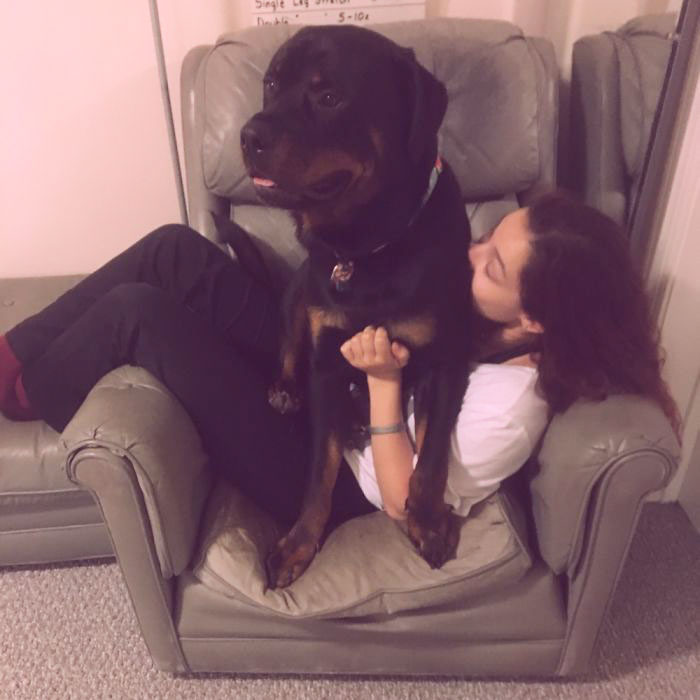 178 Dogs Who Don’t Understand How BIG They Are And Think They’re Lap Dogs (Add Yours) 178 Dogs Who Don’t Understand How BIG They Are And Think They’re Lap Dogs (Add Yours)