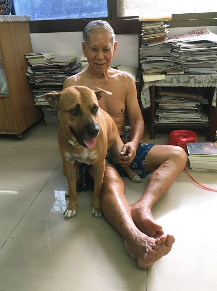 178 Dogs Who Don’t Understand How BIG They Are And Think They’re Lap Dogs (Add Yours) 178 Dogs Who Don’t Understand How BIG They Are And Think They’re Lap Dogs (Add Yours)