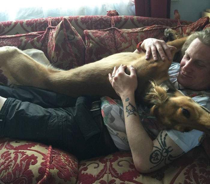 178 Dogs Who Don’t Understand How BIG They Are And Think They’re Lap Dogs (Add Yours) 178 Dogs Who Don’t Understand How BIG They Are And Think They’re Lap Dogs (Add Yours)