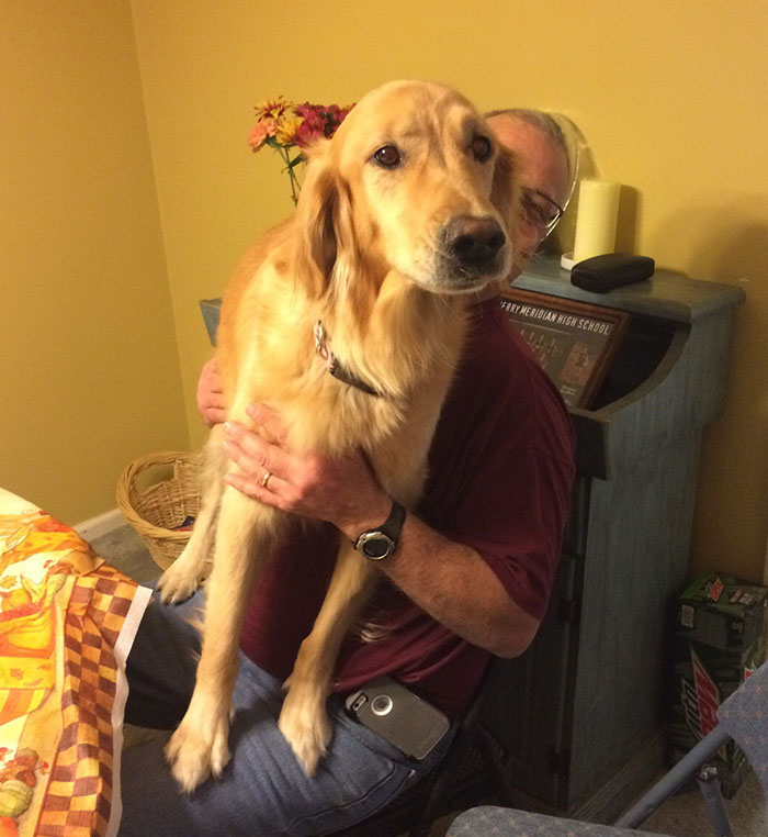 178 Dogs Who Don’t Understand How BIG They Are And Think They’re Lap Dogs (Add Yours) 178 Dogs Who Don’t Understand How BIG They Are And Think They’re Lap Dogs (Add Yours)