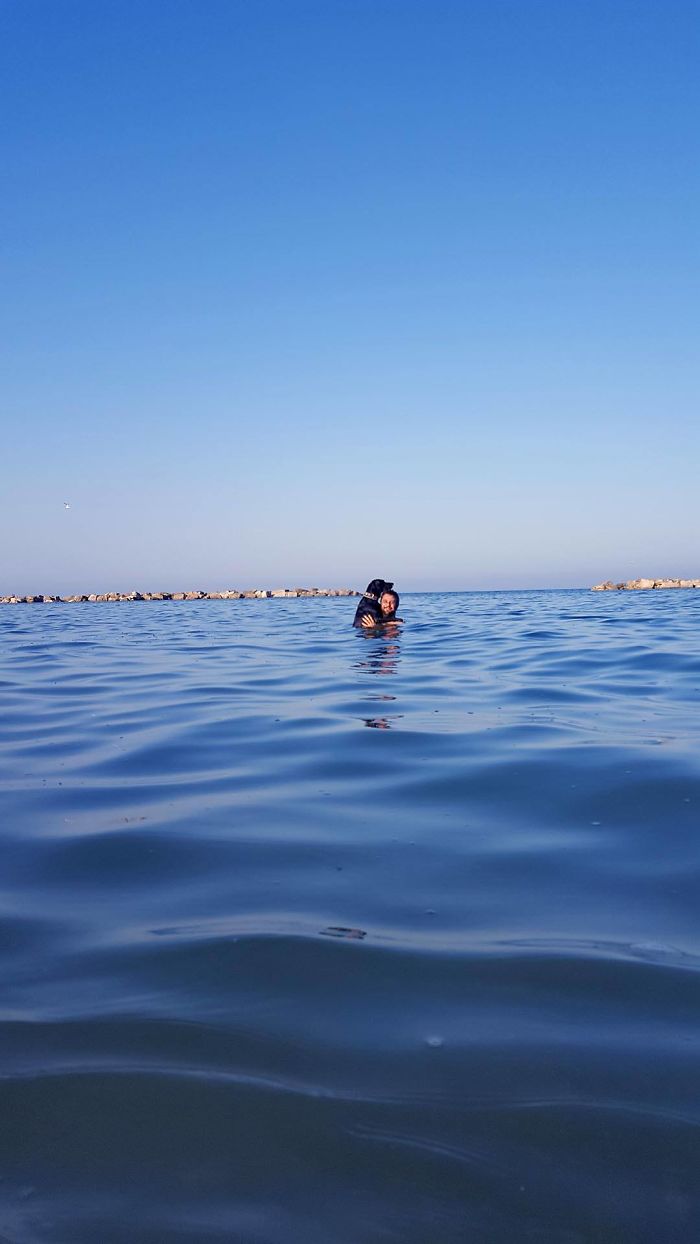 178 Dogs Who Don’t Understand How BIG They Are And Think They’re Lap Dogs (Add Yours) 178 Dogs Who Don’t Understand How BIG They Are And Think They’re Lap Dogs (Add Yours)