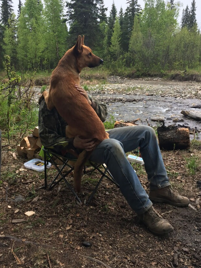 178 Dogs Who Don’t Understand How BIG They Are And Think They’re Lap Dogs (Add Yours) 178 Dogs Who Don’t Understand How BIG They Are And Think They’re Lap Dogs (Add Yours)