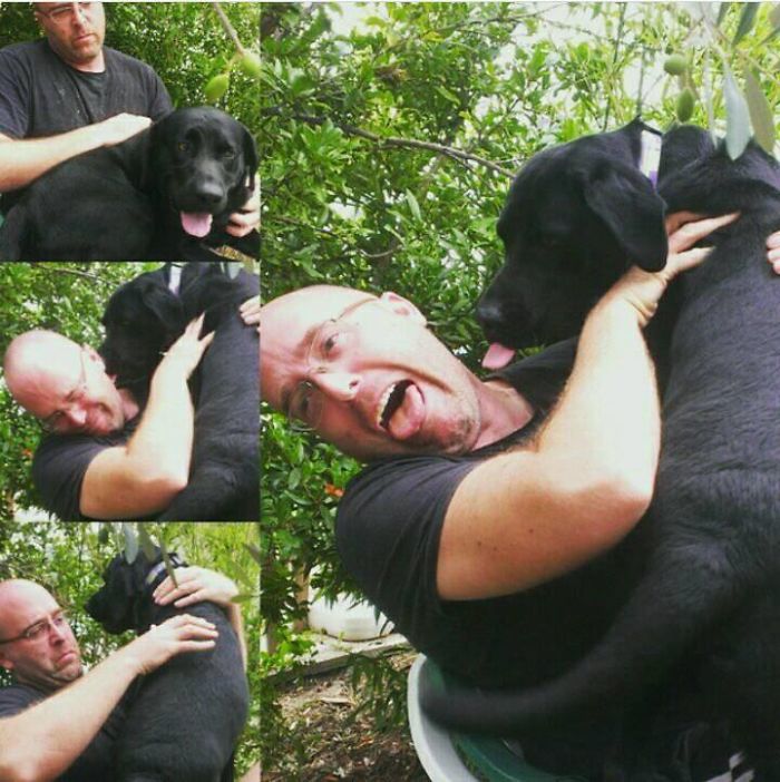 178 Dogs Who Don’t Understand How BIG They Are And Think They’re Lap Dogs (Add Yours) 178 Dogs Who Don’t Understand How BIG They Are And Think They’re Lap Dogs (Add Yours)