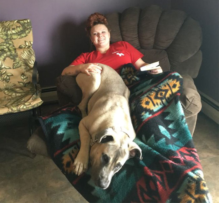 178 Dogs Who Don’t Understand How BIG They Are And Think They’re Lap Dogs (Add Yours) 178 Dogs Who Don’t Understand How BIG They Are And Think They’re Lap Dogs (Add Yours)