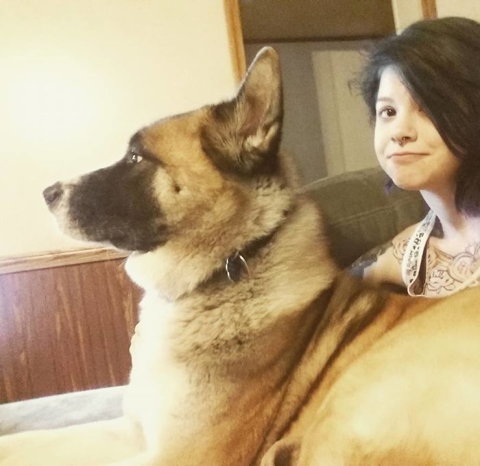 178 Dogs Who Don’t Understand How BIG They Are And Think They’re Lap Dogs (Add Yours) 178 Dogs Who Don’t Understand How BIG They Are And Think They’re Lap Dogs (Add Yours)