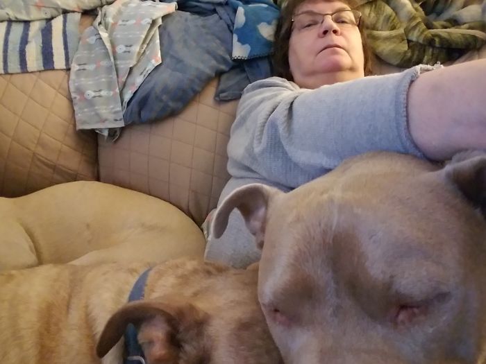 178 Dogs Who Don’t Understand How BIG They Are And Think They’re Lap Dogs (Add Yours) 178 Dogs Who Don’t Understand How BIG They Are And Think They’re Lap Dogs (Add Yours)