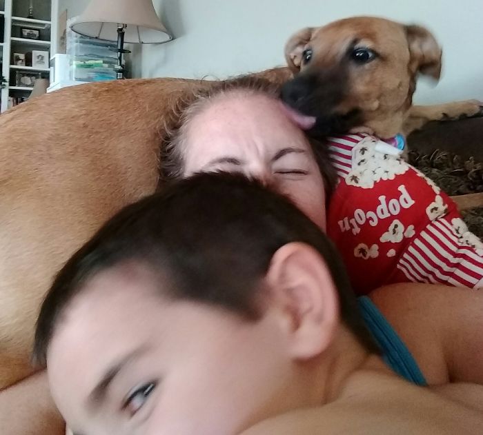 178 Dogs Who Don’t Understand How BIG They Are And Think They’re Lap Dogs (Add Yours) 178 Dogs Who Don’t Understand How BIG They Are And Think They’re Lap Dogs (Add Yours)