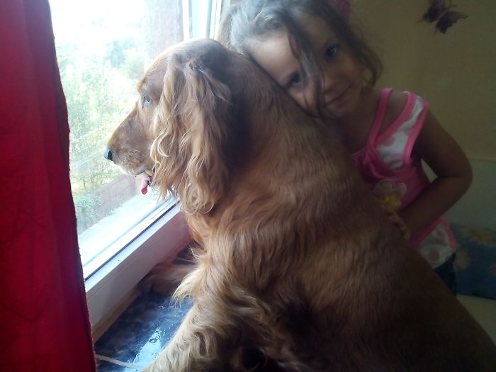 178 Dogs Who Don’t Understand How BIG They Are And Think They’re Lap Dogs (Add Yours) 178 Dogs Who Don’t Understand How BIG They Are And Think They’re Lap Dogs (Add Yours)