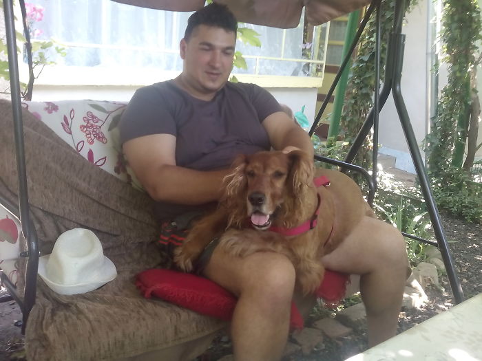 178 Dogs Who Don’t Understand How BIG They Are And Think They’re Lap Dogs (Add Yours) 178 Dogs Who Don’t Understand How BIG They Are And Think They’re Lap Dogs (Add Yours)