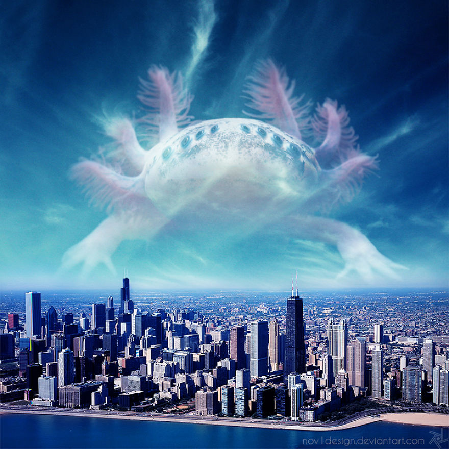 I Made 25 Eyebrow-Lifting Pictures I Made 25 Eyebrow-Lifting Pictures