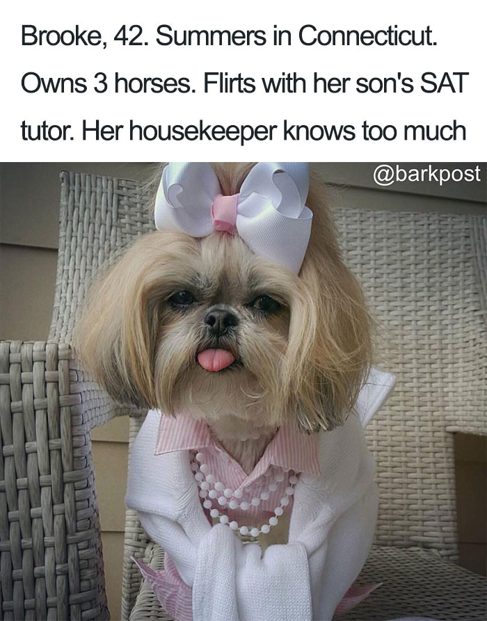 63 Dog Bios That Will Hilariously Remind You Of Somebody You Know 63 Dog Bios That Will Hilariously Remind You Of Somebody You Know