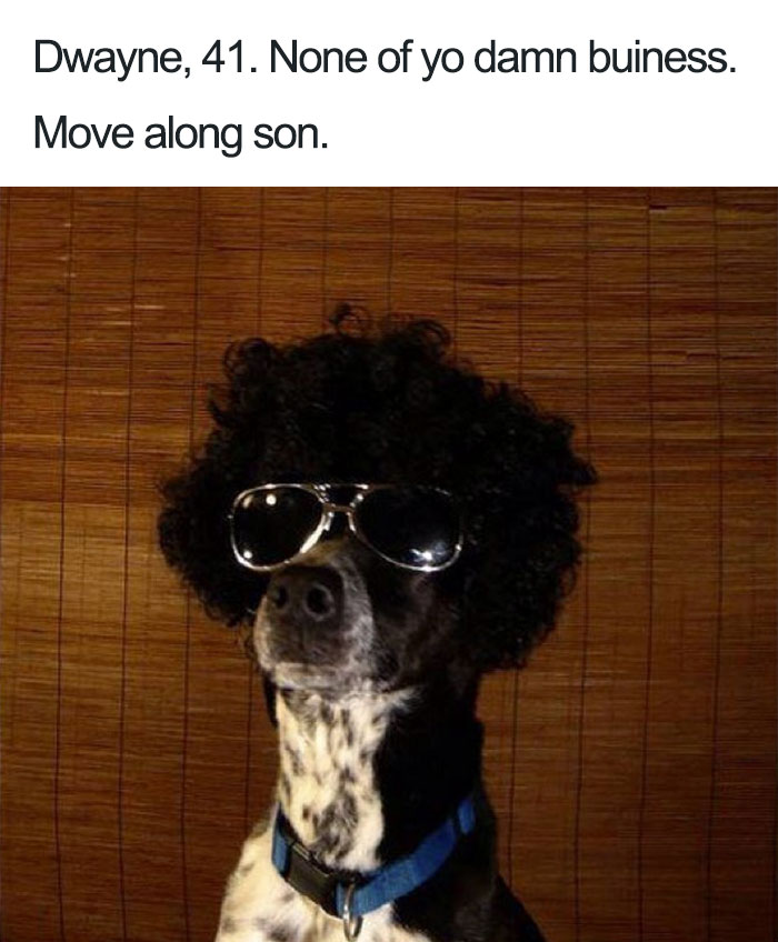 63 Dog Bios That Will Hilariously Remind You Of Somebody You Know 63 Dog Bios That Will Hilariously Remind You Of Somebody You Know