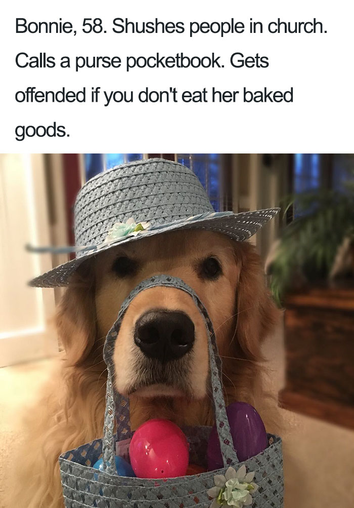 63 Dog Bios That Will Hilariously Remind You Of Somebody You Know 63 Dog Bios That Will Hilariously Remind You Of Somebody You Know