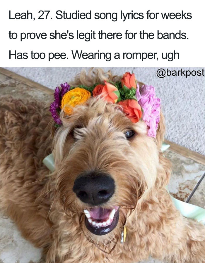 63 Dog Bios That Will Hilariously Remind You Of Somebody You Know 63 Dog Bios That Will Hilariously Remind You Of Somebody You Know