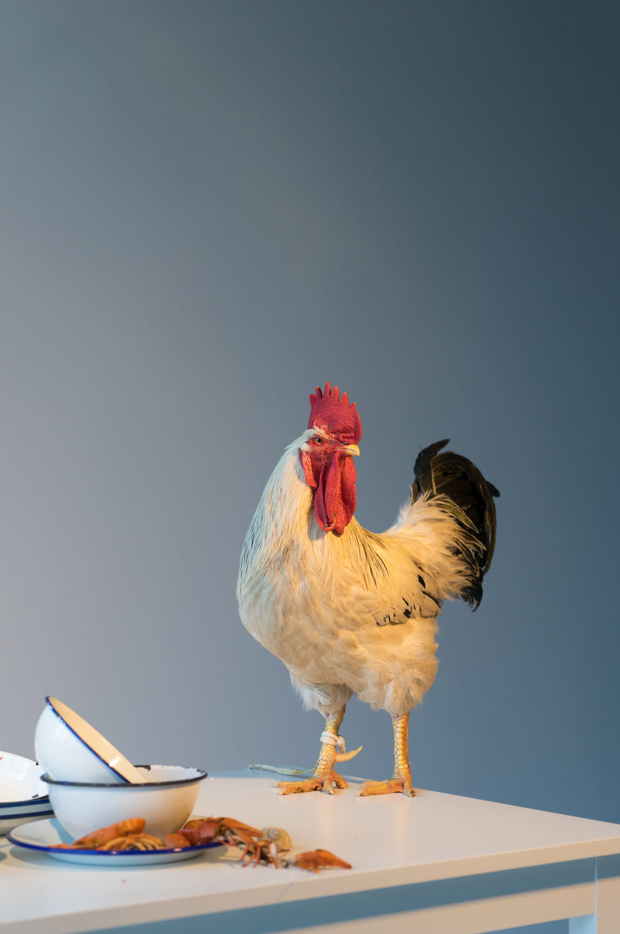 We’ve Reinvented The Most Popular Ukrainian Dishes And Made 10 Outstanding Still Lifes