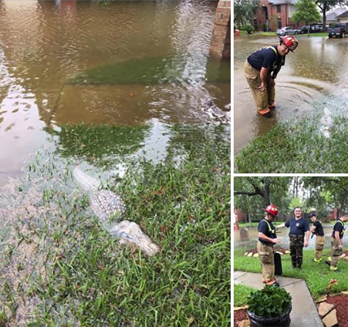 This Fireman Thought He Was Going To Die, But It All Ended Hilariously This Fireman Thought He Was Going To Die, But It All Ended Hilariously