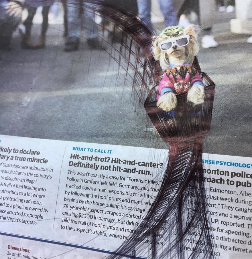 I Doodle Roller Coasters Onto The Daily Paper I Doodle Roller Coasters Onto The Daily Paper