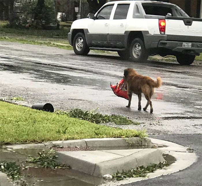 93 Powerful Photos From Hurricane Harvey That Show The Devastating Power Of Nature 93 Powerful Photos From Hurricane Harvey That Show The Devastating Power Of Nature