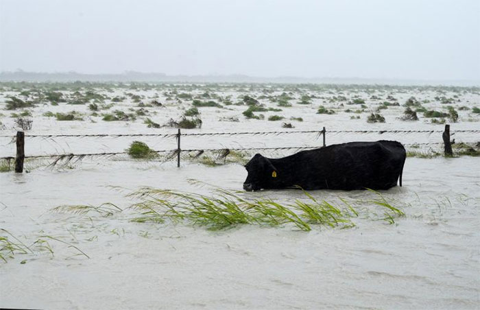 93 Powerful Photos From Hurricane Harvey That Show The Devastating Power Of Nature 93 Powerful Photos From Hurricane Harvey That Show The Devastating Power Of Nature