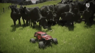 30 Adorable Cow Photos That Prove They Are Just Big Dogs