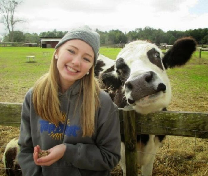 30 Adorable Cow Photos That Prove They Are Just Big Dogs