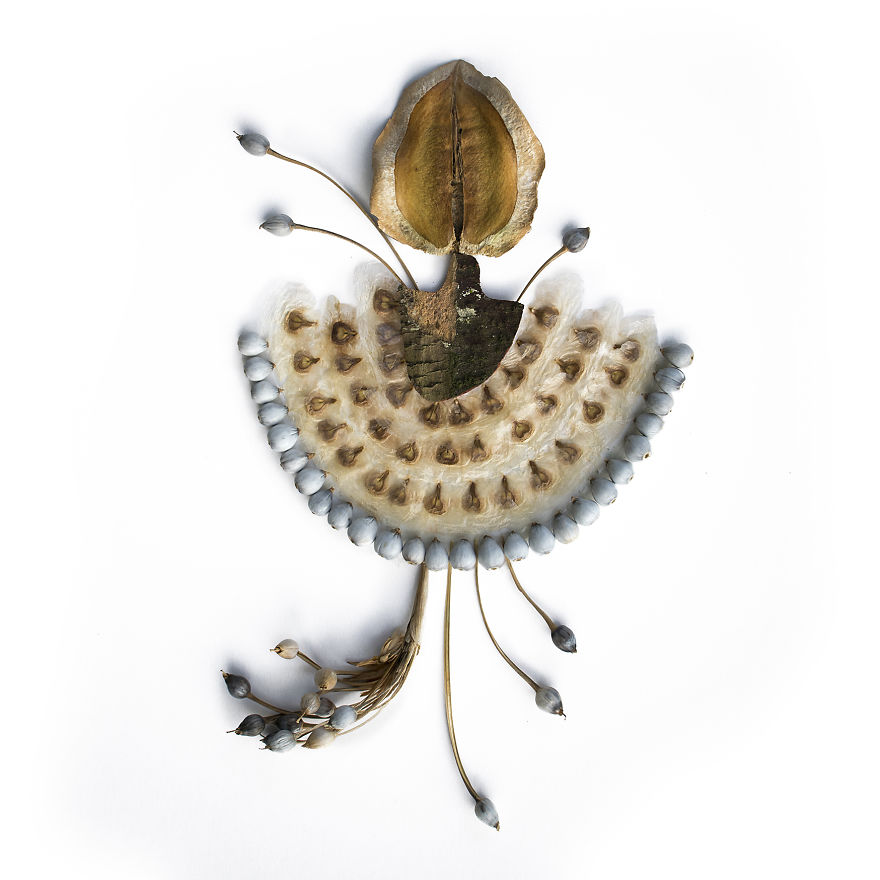 Artist Redefines Floral Art From Her Remote Island Artist Redefines Floral Art From Her Remote Island