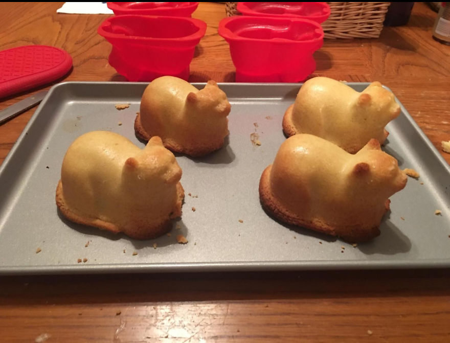 I Created A Cat-Shaped Cupcake Mold So People Can Bake And Decorate One Of Their Favorite Animals