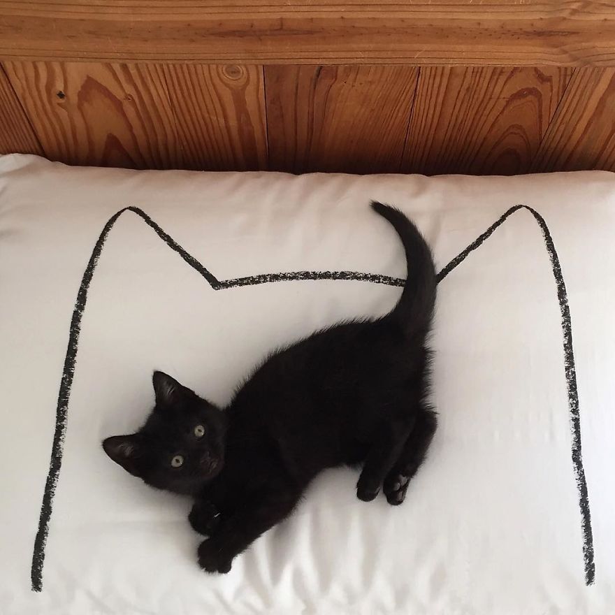 I Make Mini Versions Of My Catnap Pillows For Ikea Duktig Doll Beds To Further Enhance Your Cat Hack I Make Mini Versions Of My Catnap Pillows For Ikea Duktig Doll Beds To Further Enhance Your Cat Hack