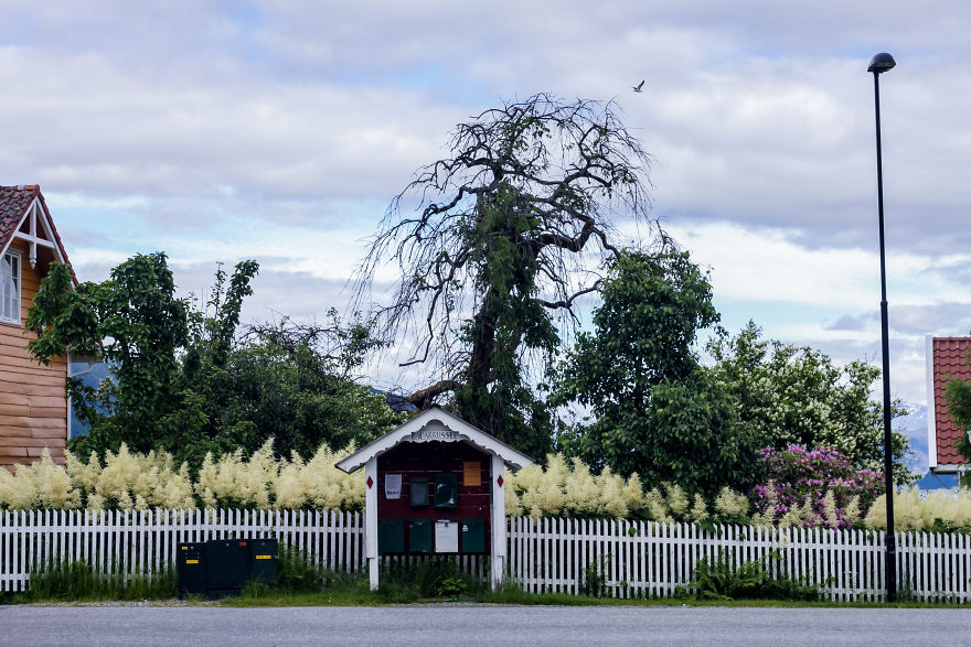 I Spent My Summer Photographing Balestrand, A Hidden Village In Norway I Spent My Summer Photographing Balestrand, A Hidden Village In Norway