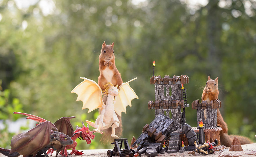 Squirrel Game Of Thrones Squirrel Game Of Thrones