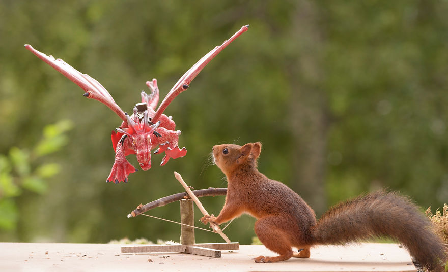 Squirrel Game Of Thrones Squirrel Game Of Thrones