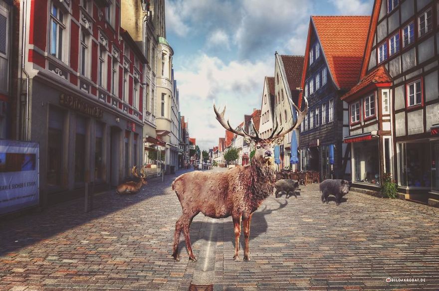 I’m Making My Hometown More Fun Using Photoshop I’m Making My Hometown More Fun Using Photoshop