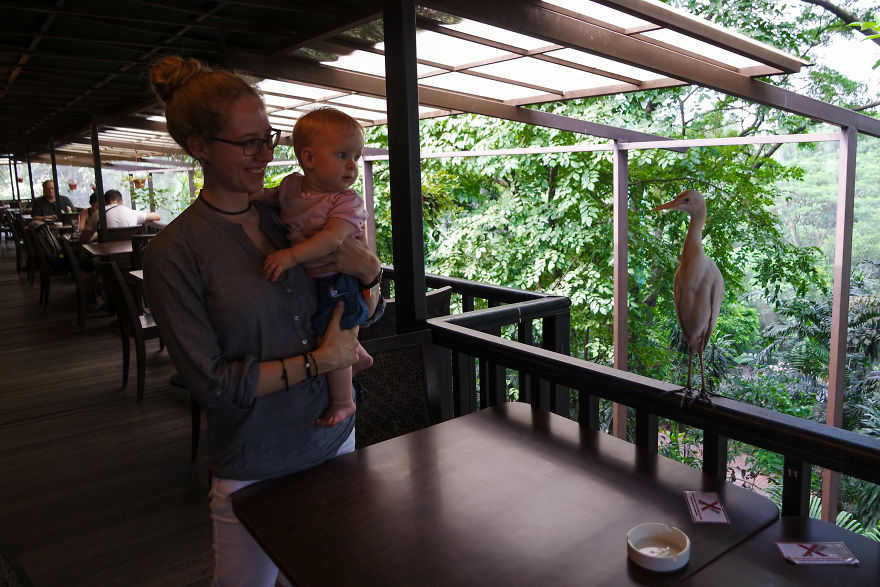 We Moved To The Philippines With 4-Months-Old Twins For Half A Year And Travelled Around Asia We Moved To The Philippines With 4-Months-Old Twins For Half A Year And Travelled Around Asia
