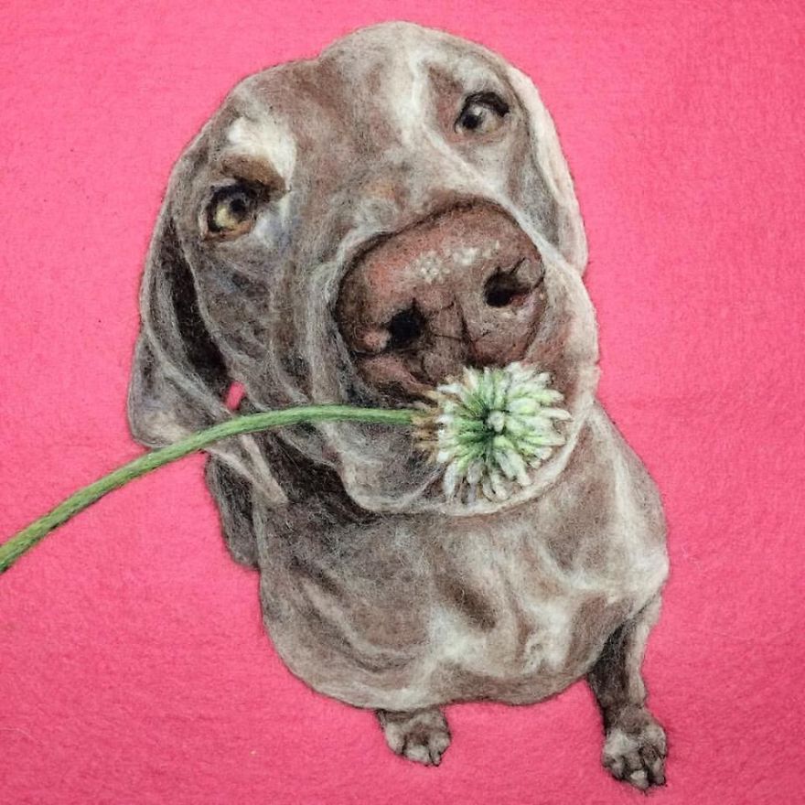 Artist Uses Needle And Wool To “Paint” Realistic Portraits Of Animals Artist Uses Needle And Wool To “Paint” Realistic Portraits Of Animals