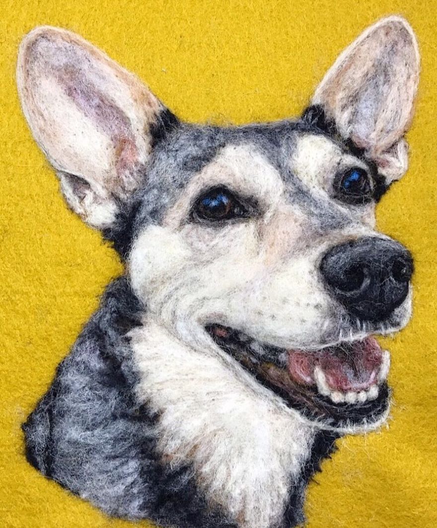 Artist Uses Needle And Wool To “Paint” Realistic Portraits Of Animals Artist Uses Needle And Wool To “Paint” Realistic Portraits Of Animals