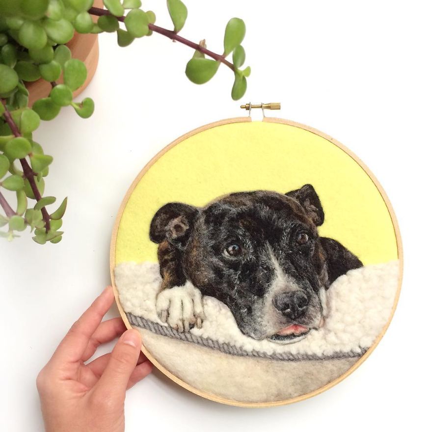 Artist Uses Needle And Wool To “Paint” Realistic Portraits Of Animals Artist Uses Needle And Wool To “Paint” Realistic Portraits Of Animals