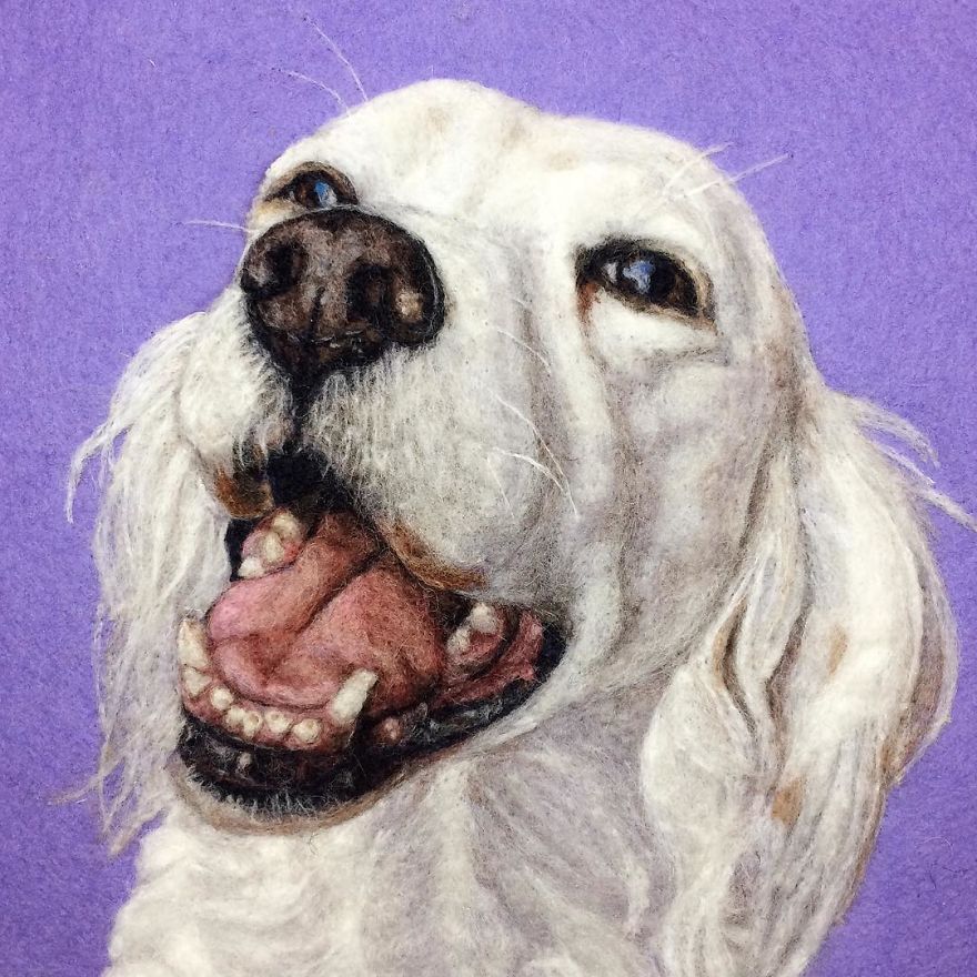 Artist Uses Needle And Wool To “Paint” Realistic Portraits Of Animals Artist Uses Needle And Wool To “Paint” Realistic Portraits Of Animals