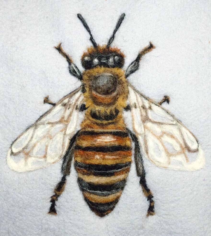 Artist Uses Needle And Wool To “Paint” Realistic Portraits Of Animals Artist Uses Needle And Wool To “Paint” Realistic Portraits Of Animals