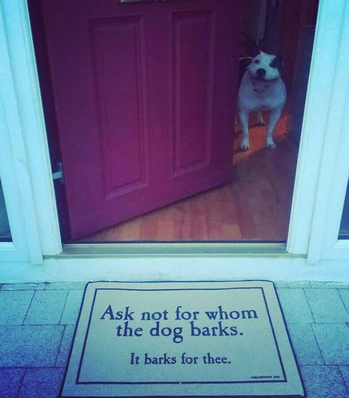 48 Creative And Hilarious Doormats That Will Make You Look Twice