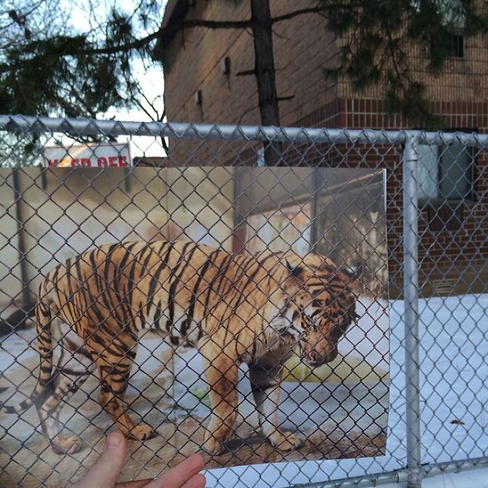 Artist Transforms Boring City Life Into Fun Scenes Using Magazine Cutouts Artist Transforms Boring City Life Into Fun Scenes Using Magazine Cutouts