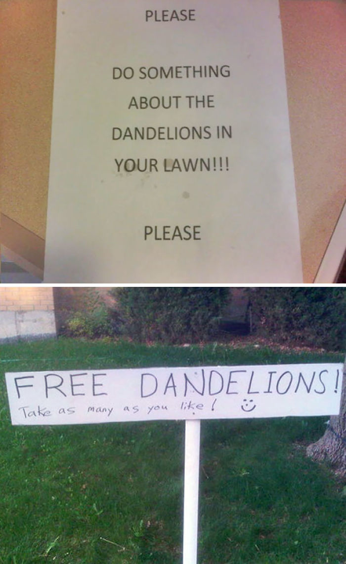 50 Neighbours Who Made The Neighbourhood More Interesting
