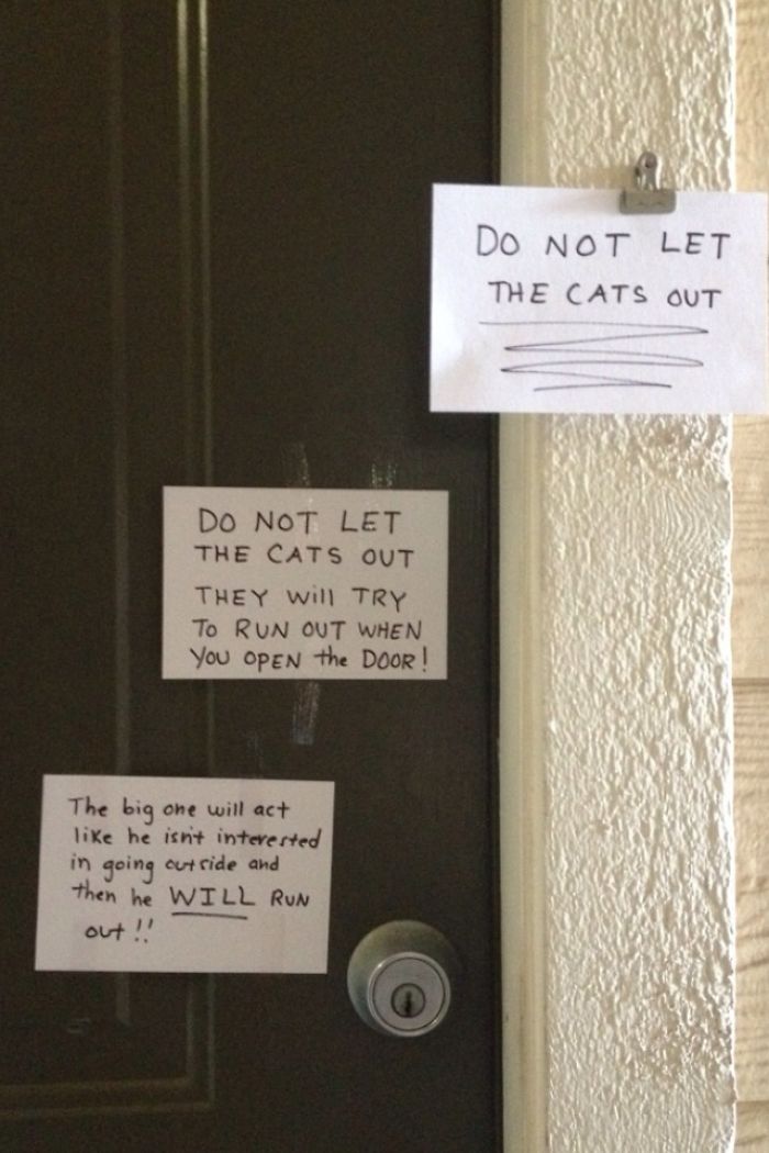50 Neighbours Who Made The Neighbourhood More Interesting